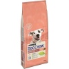 Dog Chow Adult Sensitive Somonlu Yetişkin Köpek Maması 14 Kg