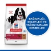 Hills Kuzulu ve Pirinçli Orta Irk Yetişkin Köpek Maması 2,5 Kg