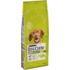 Dog Chow Adult Kuzulu ve Pirinçli Yetişkin Köpek Maması 14 Kg