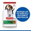 Hills Puppy Lamb Kuzu Etli Yavru Köpek Maması 2,5 Kg