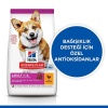 Hills Science Plan Small & Mini Adult Tavuklu Köpek Maması 6 Kg.