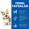 Hills Small Mini Küçük Irk Tavuklu Yetişkin Köpek Maması 1,5 kg