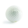 Outwardhound Golfball WHT Köpek Topu