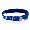 Doggie Polar Pedli Sade Dokuma Köpek Boyun Tasması Royalblue 1,5x20-25 Cm