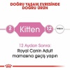 Royal Canin Kitten Yavru Kedi Maması 2 Kg