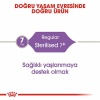 Royal Canin Sterilised 7+ Kısırlaştırılmış Yaşlı Kedi Maması 1,5 Kg