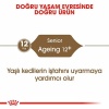 Royal Canin Ageing 12+ Senior Yaşlı Kedi Maması 2 Kg