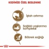 Royal Canin Ageing 12+ Senior Yaşlı Kedi Maması 2 Kg