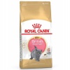 Royal Canin British Shorthair Kitten Yavru Kedi Maması 2 Kg