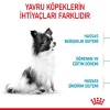 Royal Canin X Small Puppy Küçük Irk Yavru Köpek Maması 1,5 Kg