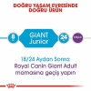 Royal Canin Giant Junior Dev Irk Puppy Yavru Köpek Maması 15 Kg