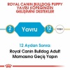 Royal Canin French Bulldog Puppy Yavru Köpek Maması 3 Kg