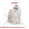 Royal Canin Maltese Terrier Adult Yetişkin Köpek Maması 1,5 Kg