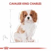 Royal Canin Cavalier King Charles Puppy Yavru Köpek Maması 1,5 Kg