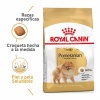 Royal Canin Pomeranian Adult Yetişkin Köpek Maması 1,5 Kg