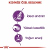 Royal Canin Sensible 33 Hassas Sindirim Sistemi Destekleyici Yetişkin Kedi Maması 2 Kg