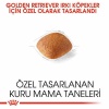 Royal Canin Golden Retriever Adult Yetişkin Köpek Maması 12 Kg