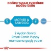 Royal Canin Starter Mother Babydog Yavru Köpek Konservesi 195 Gr