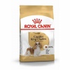 Royal Canin Cavalier King Charles Adult Yetişkin Köpek Maması 3 Kg