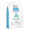 Brit Care Skin Coat Somonlu Büyük Irk Tahılsız Yavru Köpek Maması 12 Kg