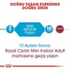 Royal Canin Mini Indoor Puppy Küçük Irk Yavru Köpek Maması 1,5 Kg