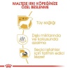 Royal Canin Maltese Terrier Adult Yetişkin Köpek Maması 1,5 Kg