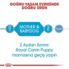 Royal Canin Starter Mother Babydog Yavru Köpek Konservesi 195 Gr