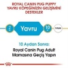 Royal Canin Pug Puppy Yavru Köpek Maması 1,5 Kg