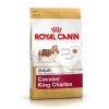 Royal Canin Cavalier King Charles Adult Yetişkin Köpek Maması 3 Kg