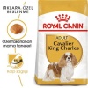 Royal Canin Cavalier King Charles Adult Yetişkin Köpek Maması 3 Kg