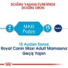 Royal Canin Maxi Puppy Büyük Irk Yavru Köpek Maması 15 Kg