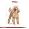 Royal Canin Poodle Pouch Adult Yetişkin Köpek Konservesi 85 Gr