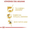 Royal Canin Poodle Pouch Adult Yetişkin Köpek Konservesi 85 Gr