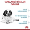 Royal Canin Giant Junior Dev Irk Puppy Yavru Köpek Maması 15 Kg