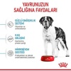 Royal Canin Giant Junior Dev Irk Puppy Yavru Köpek Maması 15 Kg