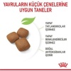 Royal Canin Giant Junior Dev Irk Puppy Yavru Köpek Maması 15 Kg