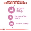 Royal Canin Mother & Babycat Yavru Kedi Maması 4 Kg