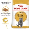 Royal Canin British Shorthair Adult Yetişkin Kedi Maması 2 Kg