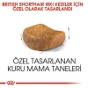 Royal Canin British Shorthair Adult Yetişkin Kedi Maması 2 Kg