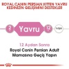 Royal Canin Persian Kitten İran Yavru Kedi Maması 2 Kg