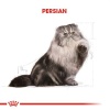 Royal Canin Persian Adult İran Yetişkin Kedi Maması 4 Kg