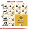 Royal Canin Persian Adult İran Yetişkin Kedi Maması 4 Kg