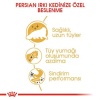 Royal Canin Persian Adult İran Yetişkin Kedi Maması 4 Kg