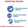 Royal Canin Indoor Kedi Maması 400 Gr