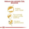 Royal Canin Persian Adult İran Yetişkin Kedi Maması 400 Gr