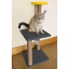 Patiderm Katlı Kedi Tırmalama Tahtası 80cm - Gri