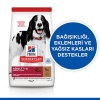 Hill’s SCIENCE PLAN Adult Medium Lamb & Rice Orta Irk Kuzulu Yetişkin Köpek Maması 14 Kg