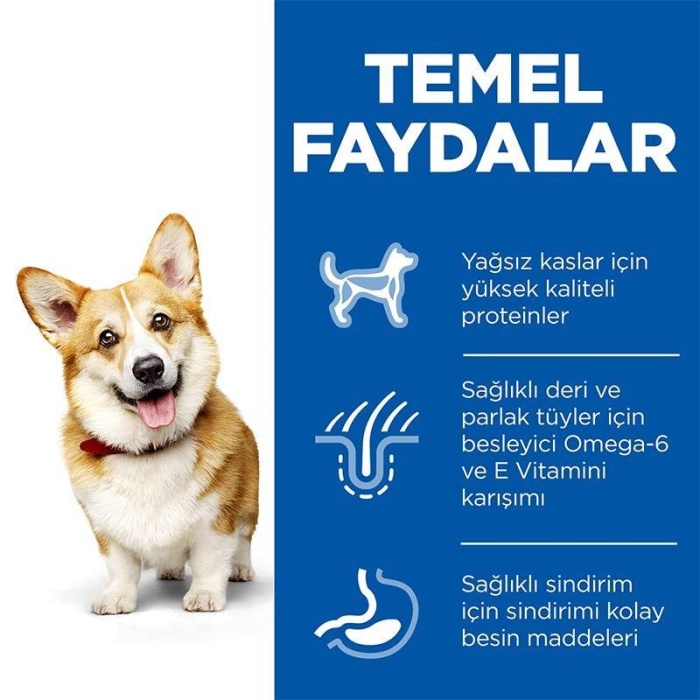 Hills Small Mini Küçük Irk Tavuklu Yetişkin Köpek Maması 1,5 kg