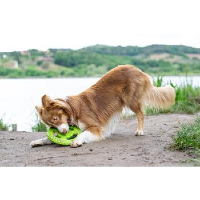 Kiwi Walker Dayanıklı Yüzen Köpek Oyuncağı Frizbi Mini