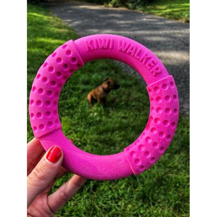 Kiwi Walker Dayanıklı Yüzen Köpek Oyuncağı Ring Mini